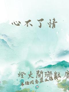 心不了情