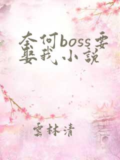 奈何boss要娶我小说