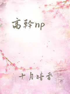 高干np