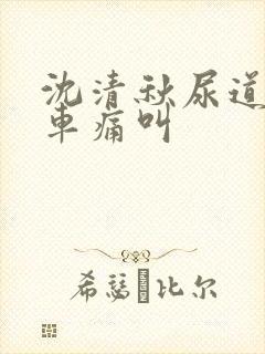 沈清秋尿道扩张车痛叫