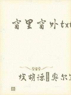 窗里窗外txt