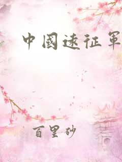 中国远征军下载