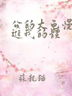 公的大龟慢慢挺进我的体