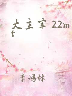 大主宰 22mt