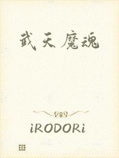 武天魔魂
