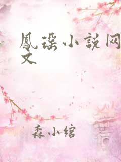 凤瑶小说网高辣文