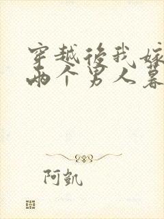 穿越后我嫁给了两个男人暮色酒歌