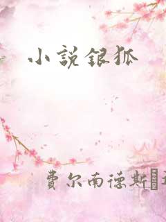 小说银狐