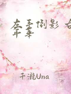 左手倒影 右手年华
