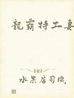 龙霸特工妻