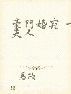 豪门婚宠 一品夫人