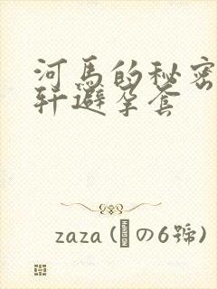 河马的秘密河文轩避孕套