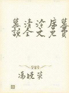 慕清泠席慕深小说全文免费阅读