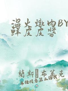 温火炖肉BY海鲜皮皮酱