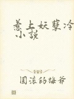 惹上妖孽冷殿下 小说