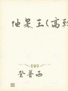 他是王(高干)