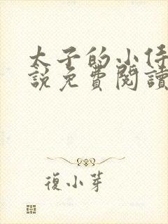 太子的小侍妾小说免费阅读全文