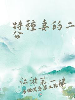 特种妻的二手老公