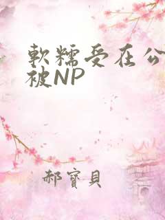软糯受在公交车被NP