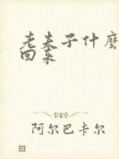 老夫子什么时候回来