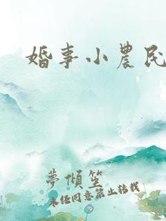 婚事小农民