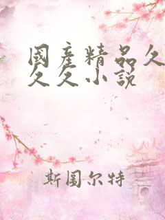 国产精品久久久久久小说