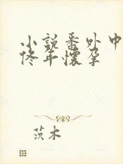 小说番外中结局佟年怀孕