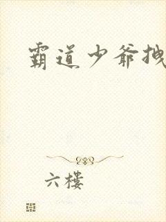 霸道少爷拽上我