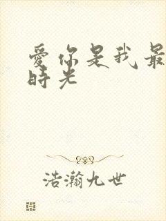 爱你是我最好的时光
