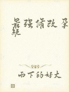 最强修改孕妇系统