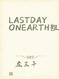 LASTDAYONEARTH粗暴