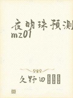 夜明珠预测 ymz01