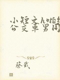 小短文h啪纯肉公交车男同