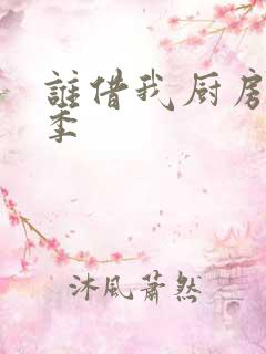 谁借我厨房第三季