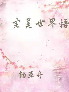 完美世界悟性石