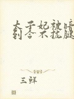 太子妃被暗卫c到合不拢腿