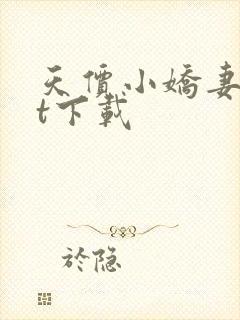 天价小娇妻txt下载