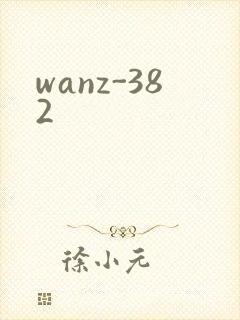wanz-382