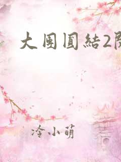 大团圆结2阅读