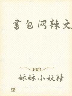书包网辣文