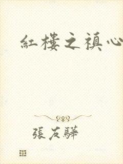 红楼之禛心锁玉