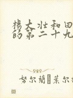 杨大壮和田桂花的第二十九