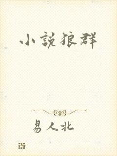 小说狼群