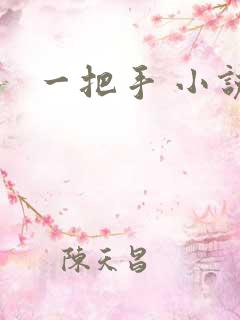 一把手 小说