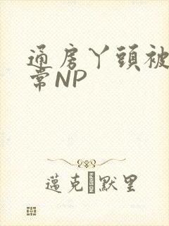 通房丫头被肉日常NP
