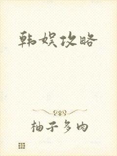 韩娱攻略
