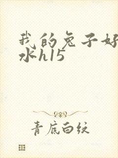 我的兔子好多软水h15