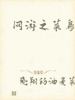 网游之菜鸟高手