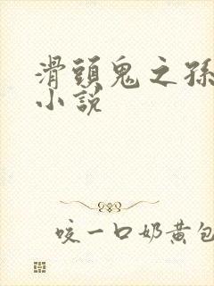 滑头鬼之孙官方小说