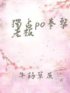 独占po拳击馆老板